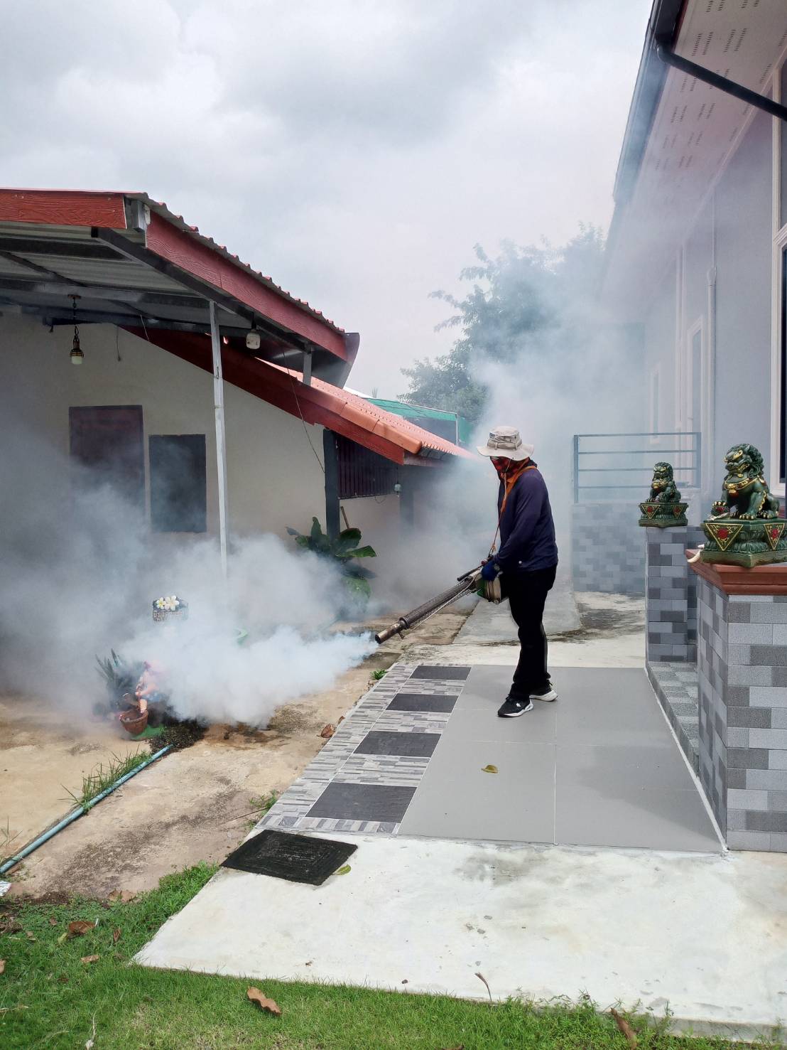 รูปภาพอัลบั้ม