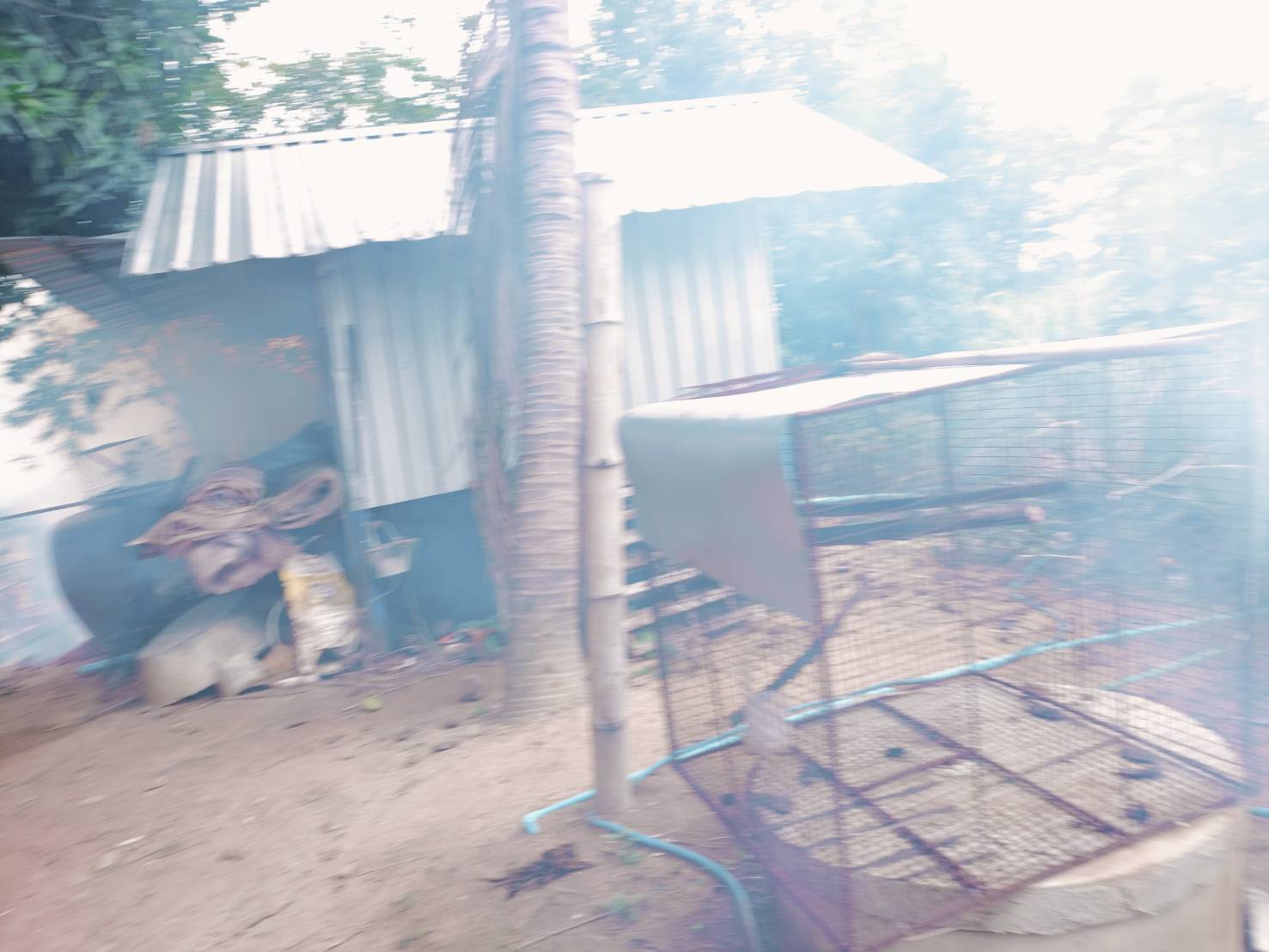 รูปภาพอัลบั้ม