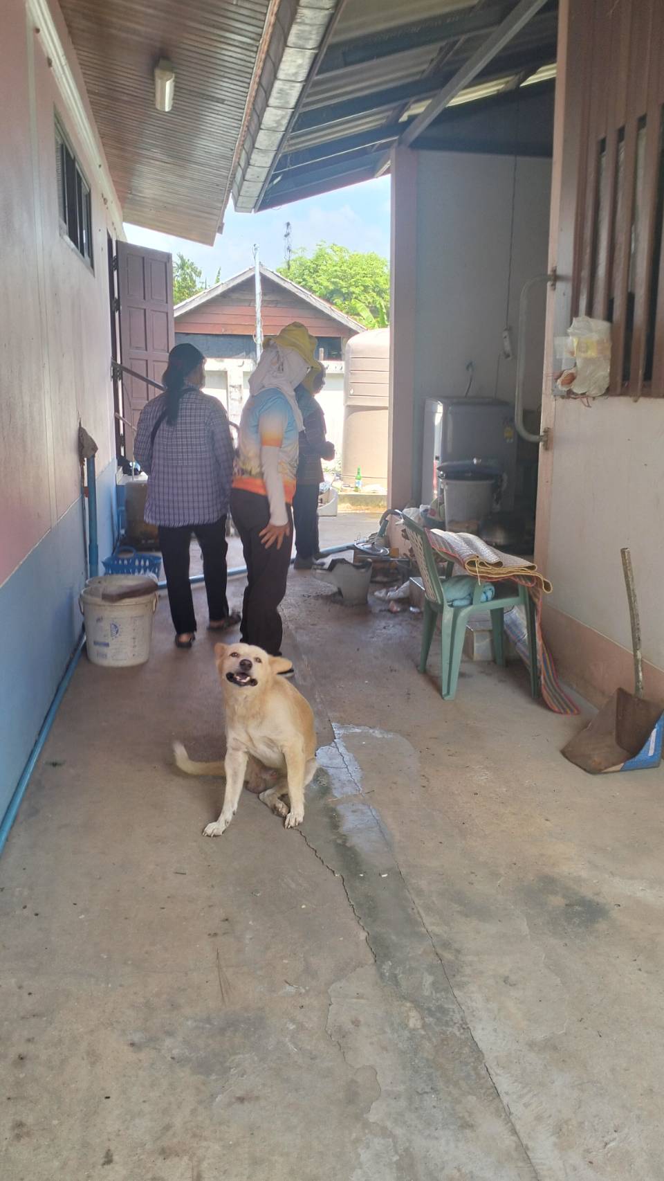 รูปภาพอัลบั้ม