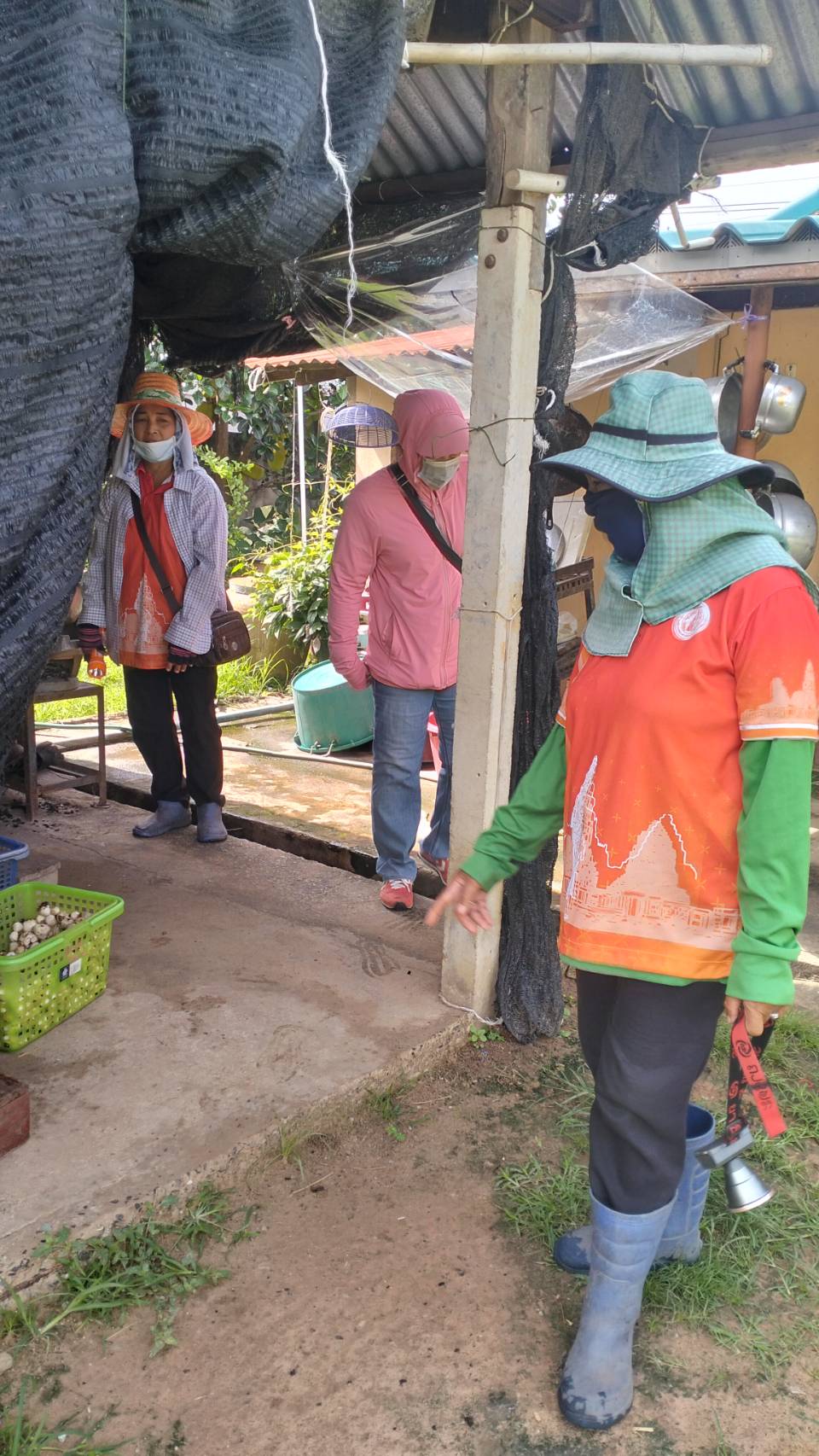 รูปภาพอัลบั้ม