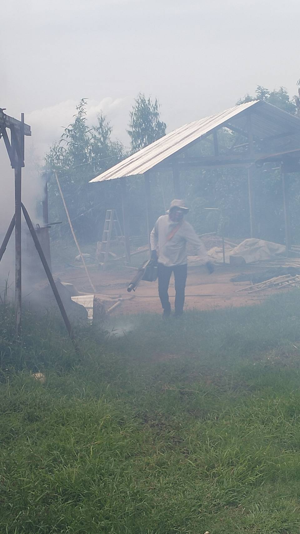รูปภาพอัลบั้ม