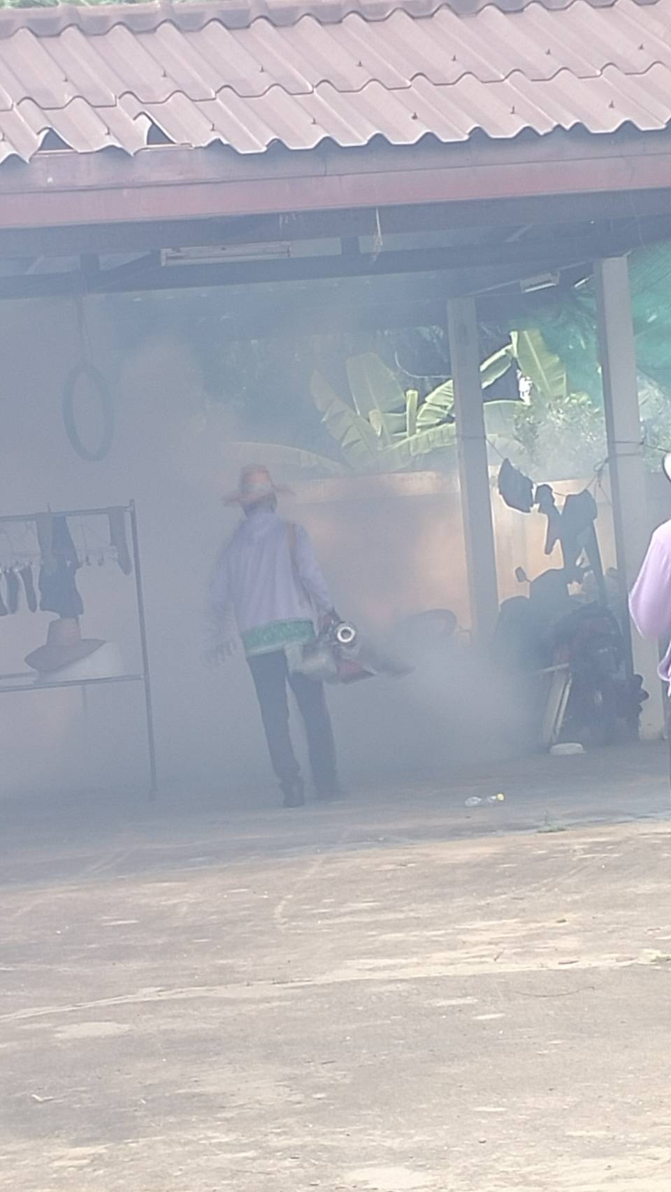 รูปภาพอัลบั้ม
