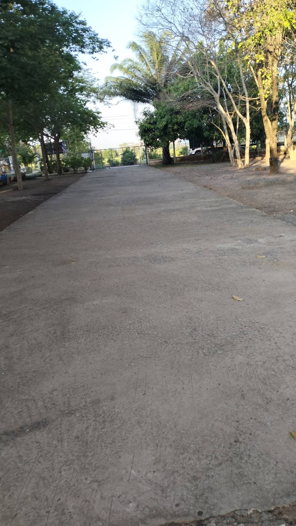 Sub Image