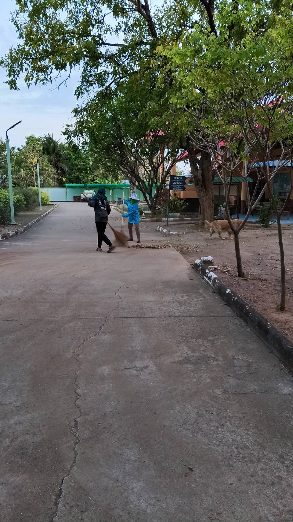 Sub Image